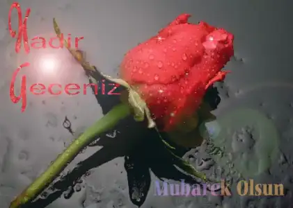 $77877334qu0.webp