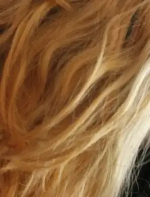 $IMG_2324.webp $IMG_2324.webp