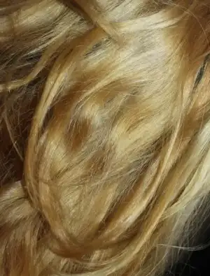 $IMG_2325.webp $IMG_2325.webp