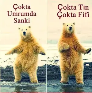 $1069240_592639207446364_300395634_n (1).webp