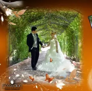 $1005459_149708455232597_630649472_n.webp