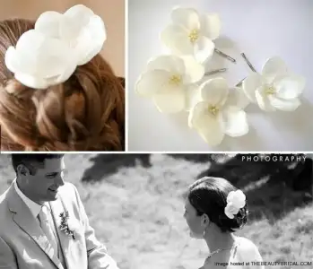 $Isabelline-white-rosebud-pins.webp $Isabelline-white-rosebud-pins.webp