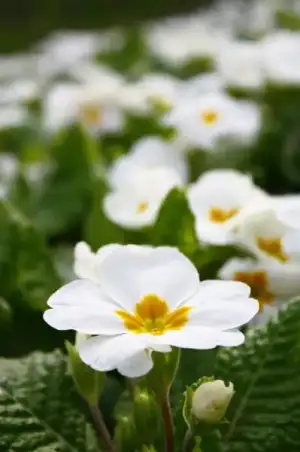 $_MG_6080.webp
