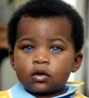 $bebe yeux bleus.webp