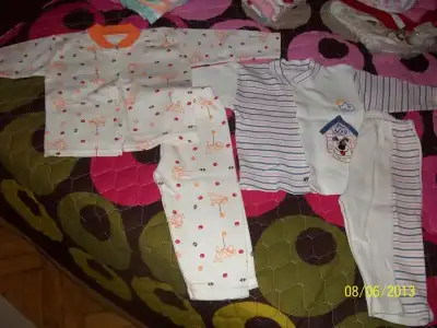 $101_2249.webp