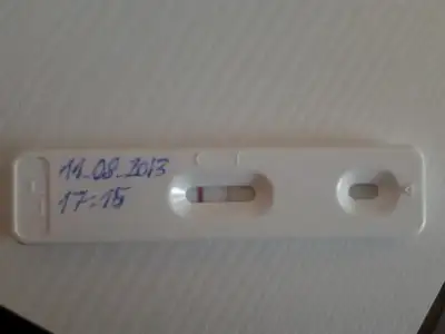 $2013-08-11 17.30.32.webp