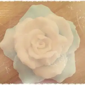 $IMG-20130804-WA0002.webp