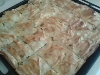 $20130819_085348.webp $20130819_085348.webp