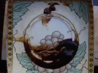 $DSC03507.webp $DSC03507.webp