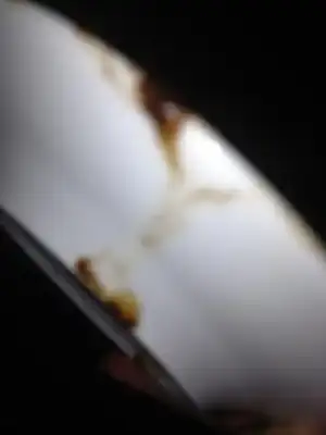 $IMG_1734.webp $IMG_1734.webp