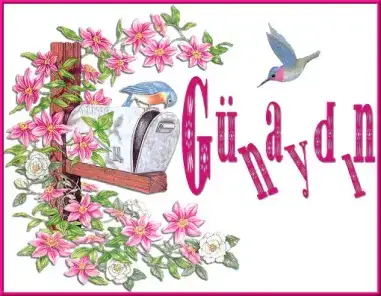 $gnaydn09zr71nc8.webp