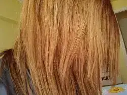 $Photo-0031.webp $Photo-0031.webp