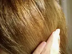 $Photo-0037.webp $Photo-0037.webp