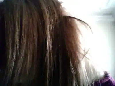 $Snapshot_20110126_1.webp $Snapshot_20110126_1.webp