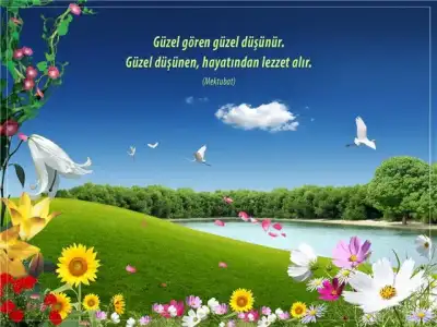 $408233_10151049210907638_284075110_n.webp