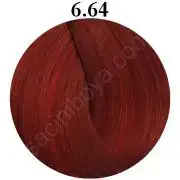 $pr_01_440_min.webp