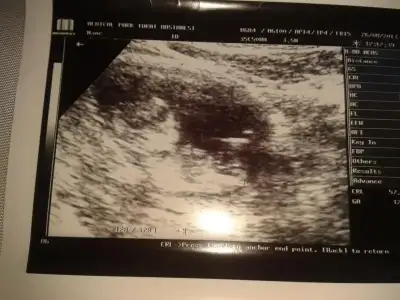 $2013-08-27 14.49.22.webp