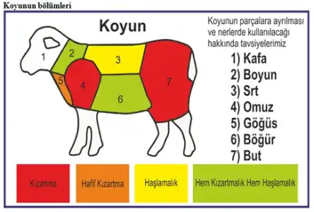 $koyun4.webp $koyun4.webp