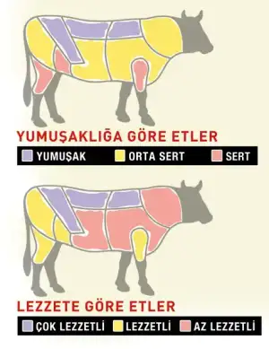 $lezzetharitasi2.webp $lezzetharitasi2.webp
