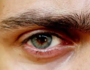 $solotica cristal.webp