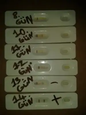 $gÃ¼lÃ¾ah 681.webp