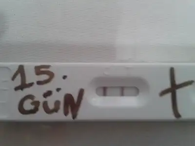 $2013-09-12 16.56.38.webp