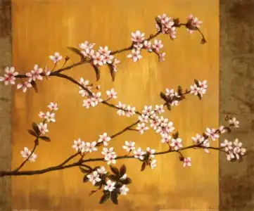 $cherry-blossomss.webp