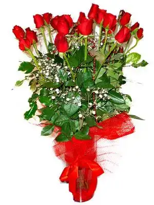 $ankara_zeynep_cicek3172.webp
