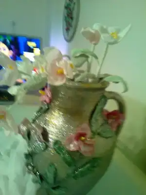 $Foto&#287;raf0801.webp