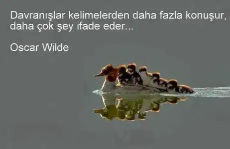 $999782_10151874276554868_365198049_n.webp