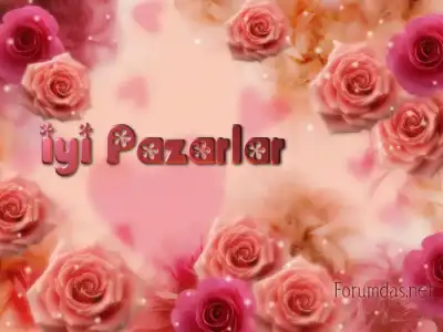 $iyipazarlar5.webp