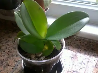 $+ 180920132531.webp