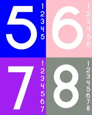 $5-8.webp