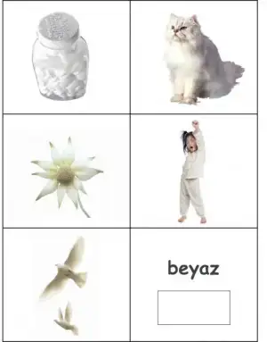 $beyaz.webp