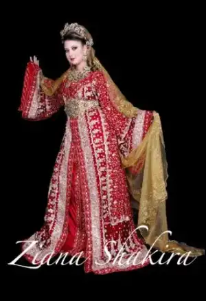 $DSC_0008zianashakirabridalsariro-2.webp
