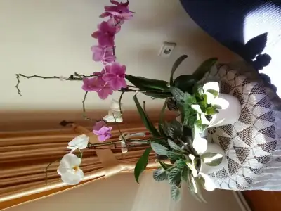 $+ ORK&#304;DE 18.webp