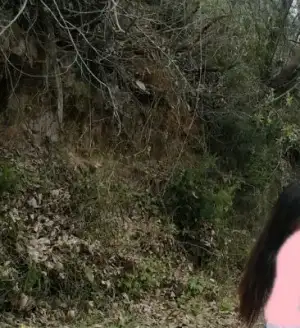 $IMG-20130409-WA0004.webp $IMG-20130409-WA0004.webp