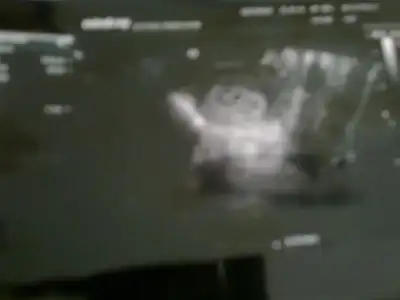 $06102013662 (1).webp