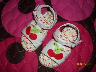$101_2252.webp
