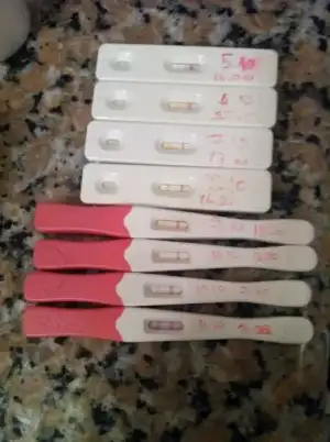 $foto&#287;raf (2).webp