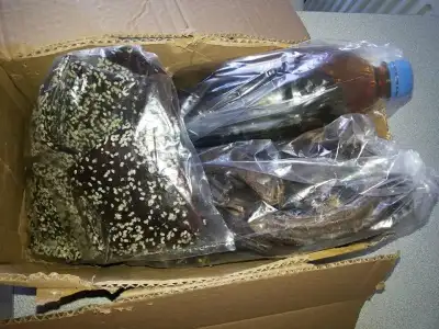 $995207_557739380964379_407627235_n.webp $995207_557739380964379_407627235_n.webp