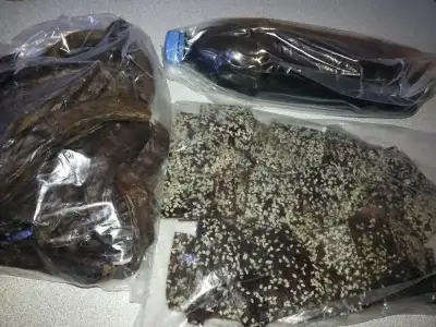 $1375706_557739814297669_1064406039_n.webp $1375706_557739814297669_1064406039_n.webp