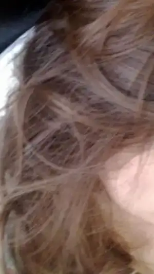 $13100008.webp