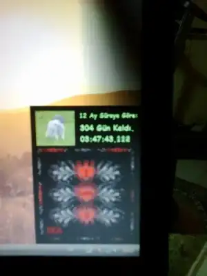 $171020131115.webp