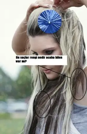 $2d6u0dz.webp $2d6u0dz.webp