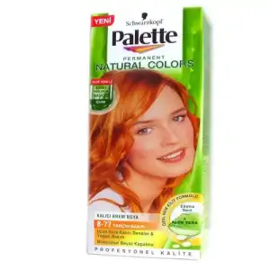 $tarç&#305;n.webp