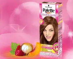$6-6_palette.webp