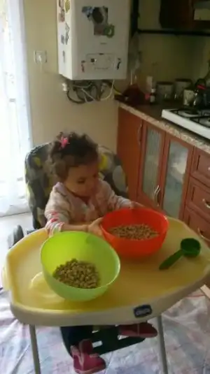 $2013-10-10-0096.webp