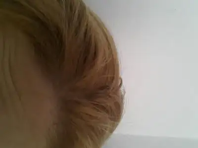 $20131024_113830.webp