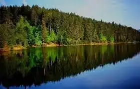 $image.webp $image.webp